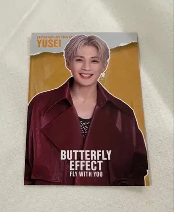 BUTTERFLY EFFECT 엽서