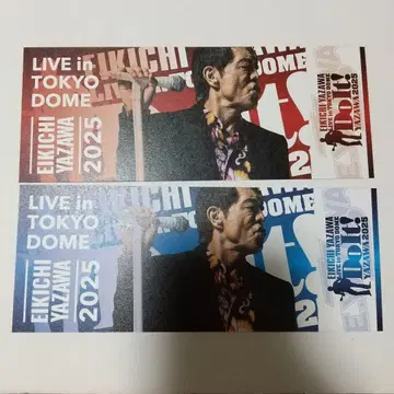 EIKICHI YAZAWA 도쿄돔 라이브 메모리얼 티켓 2장 세트
