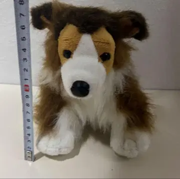 콜리 쉘티 강아지 봉제 인형