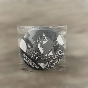 WIND BREAKER 타키이시 캔뱃지