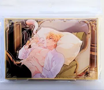 NU: 카니발 배경 포함 아크릴 스탠드 생일 ver 케시