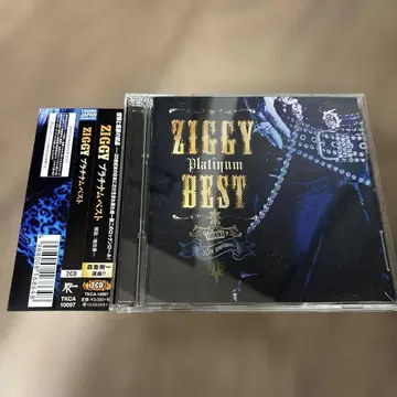 ZIGGY 플래티넘 베스트