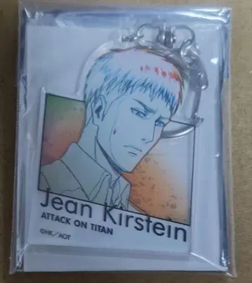 진격의 거인 WITSTUDIO 아크릴 키링 [장]