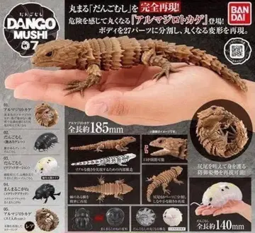 생물대도감 어드밴스 아르마딜로 도마뱀 5종