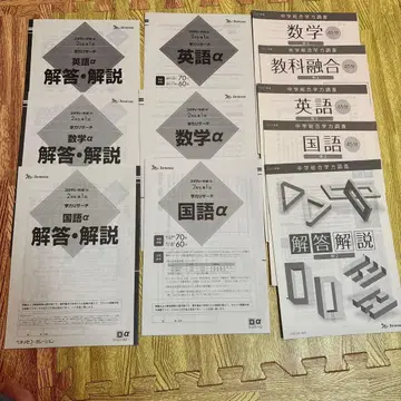 베네세, 학력 서치, 중학교 종합 학력 조사