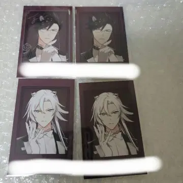 Honey Vibes 포토 카드 핀 레어