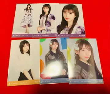 노기자카46 브로마이드 묶음 판매 야타 모에카