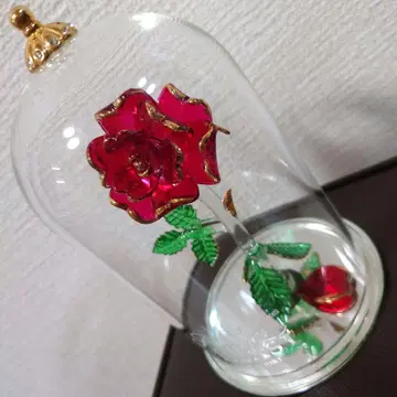 미녀와 야수 장미 유리 돔 장미