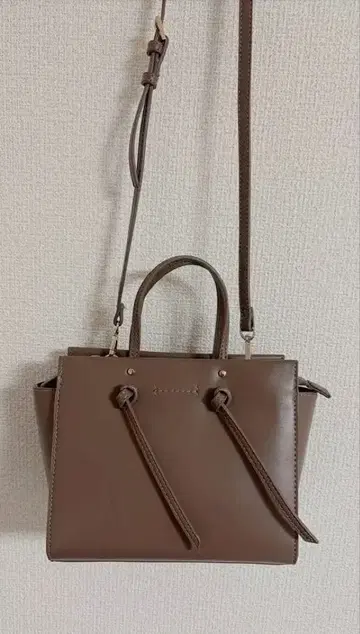 ZARA 브라운 숄더백