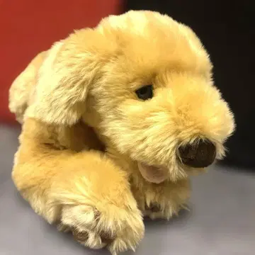 요시토쿠 봉제 인형 골든 리트리버 S 사이즈