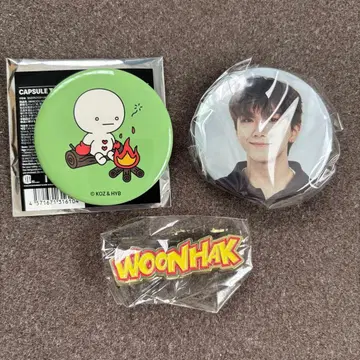 BOYNEXTDOOR WOONHAK 캔 배치 핀 배치