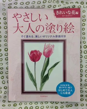 부드러운 어른의 컬러링북 & 파버카스텔 유성 색연필 100색 세트