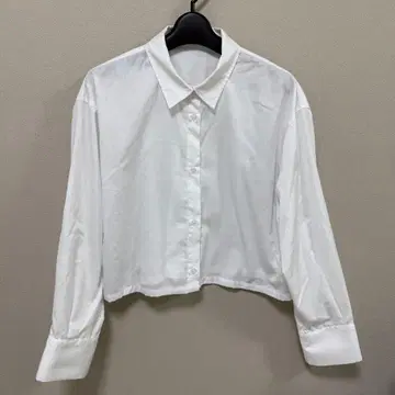 내추럴 뷰티 베이직 숏 기장 셔츠 니트 세트 F 사이즈