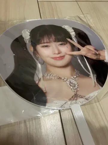 IVE 1ST WORLD TOUR 레이 부채