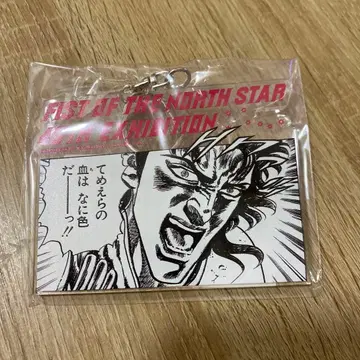 북두의 권 대원화전 아크릴 키링 레이