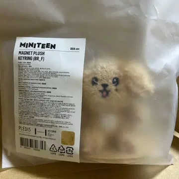 SEVENTEEN MINITEEN MAGNET PLUSH KEYRING