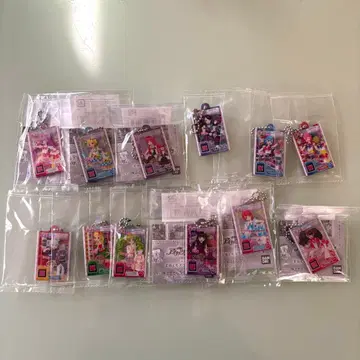 프리파라 누구나 아크릴 참 컴플리트 세트