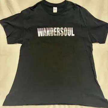 [ SHANK ] 생크 WANDERSOUL TOUR L 사이즈 구제 의류