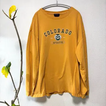 JANSPORT COLORADO STATE 긴팔 티셔츠 머스타드