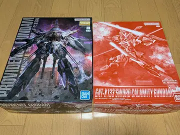 MG 프로비던스 건담 & 소드 칼라미티 건담