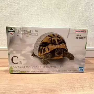 제일복권 파충류 헤르만거북