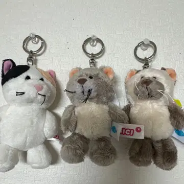 nici BB 브리티시 롱 헤어 히말라얀 삼색 고양이 키링