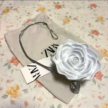 ZARA 로즈 박스 백