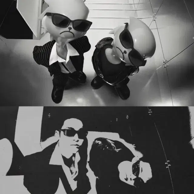 세븐틴 개봉 앨범 양도