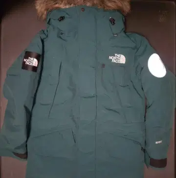 안타르티카 파카