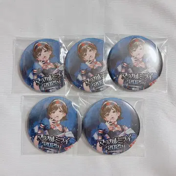 마지미라 2025 MEIKO 캔뱃지 세트