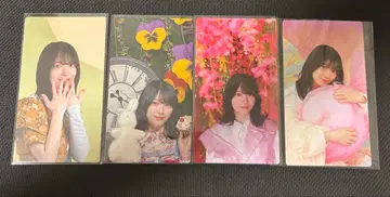 모리타 히카루 사쿠콜렉션 카드 4장