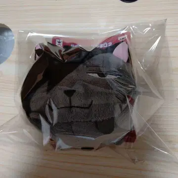 하이큐 가마구치 쿠로오 테츠로 쿠로오 고양이