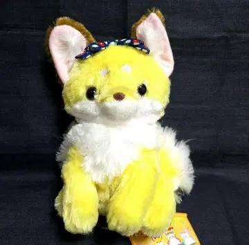 쵸콘과 구미호님 꽃 오마치 호박과 울트라 BIG 봉제 인형