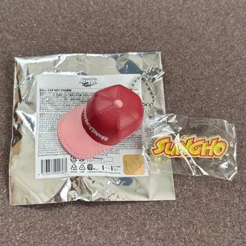 BOYNEXTDOOR SUNGHO 핀 배지 키 참