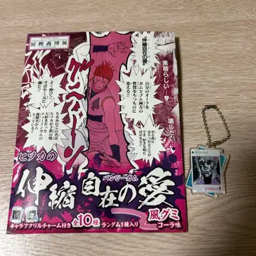 HUNTER x HUNTER 아크릴 참 히소카 곤 번지껌