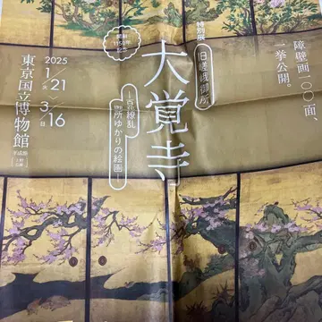 다이카쿠지 파노라마 신문