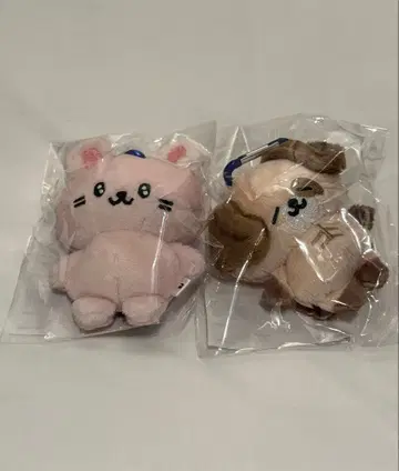 SUPER ZOONIOR 봉제 인형 세트 동해 은혁