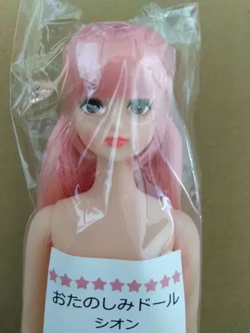 즐거운 인형 시온 1