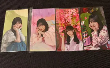 사쿠라자카46 야마시타 시즈키 사쿠콜레 카드 4장 세트