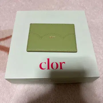 ROCKFISH WEATHERWEAR clor 옅은 그린 카드 케이스