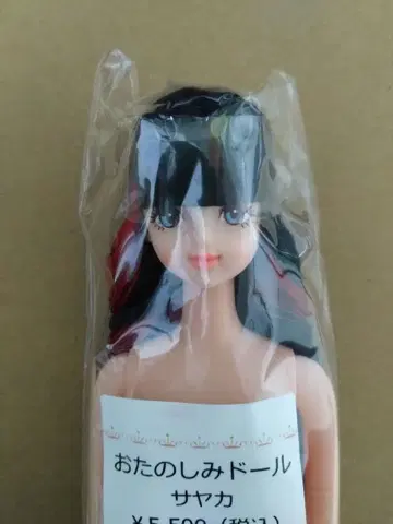 즐거운 인형 사야카