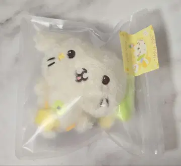 NCTWISH 인형 료 료료