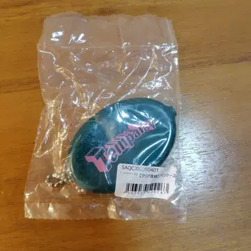 Tempalay 텐파레이 클리어 청록색 코인 케이스