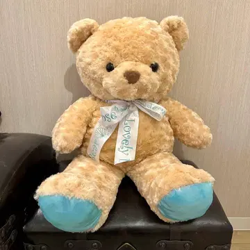 곰 봉제 인형 (베이지) 약 40cm