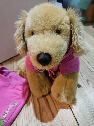 적자 각오! 빌더 베어 골든 리트리버