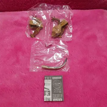 생물대도감 어드밴스 크레스티드 게코 02 할리퀸