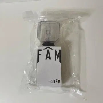 FAM We're timelesz LIVE TOUR 응원봉 타임리스