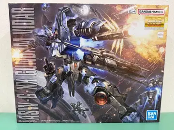 MG ASW-G-XX GUNDAM VIDAR 1/100