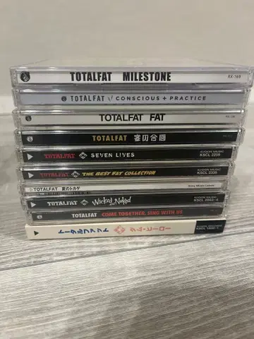 TOTALFAT CD 묶음 판매 13장 세트