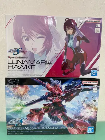 HG GELGOOG Menace LUNAMARIA HAWKE CUSTOM